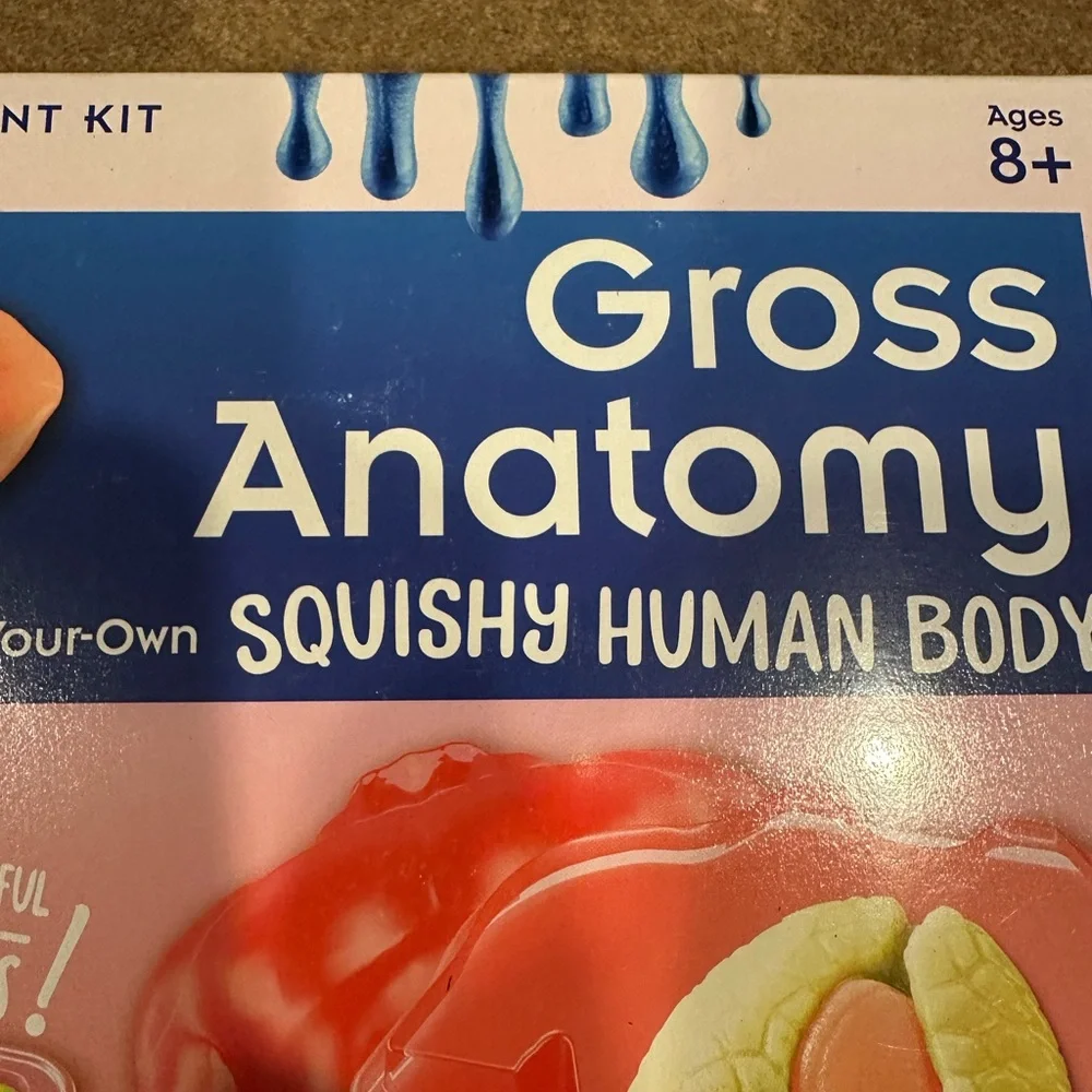 Squishy Human Body Anatomy Kit